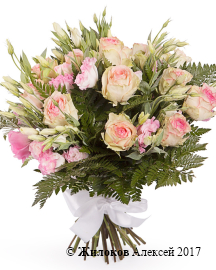 ����� ����