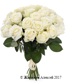 ����� 25 ��� ������� 60/70 ��