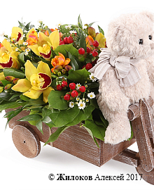 ���������� ���������� �������� � �����