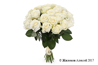 ����� 25 ��� ������� 60/70 ��