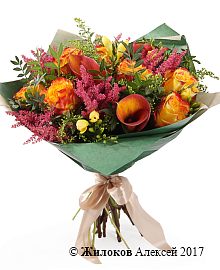 ����� ������� �������