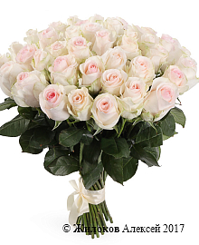 ����� 41 ���� ���������