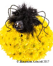 ���������� ������ ������