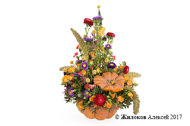 ���������� ��������� ������ � �����