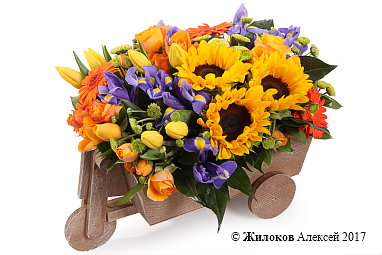 ���������� ��������� ������������ � �����