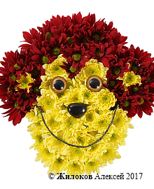 ���������� �� ��������� �������