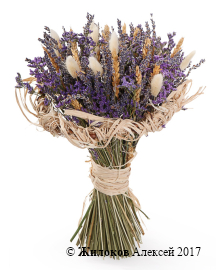 ����� � �������� ������ ��������