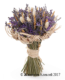 ����� � �������� ������ ��������