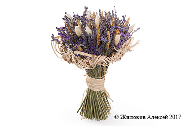 ����� � �������� ������ ��������