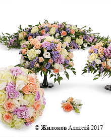 ��������� �������� ����� (����)