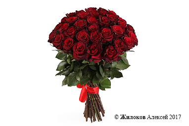 ����� 35 ��� ��� �����