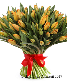 ����� 101 �������, ���������