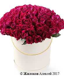 ����� 101 ���� ���� ��� � ������� �������