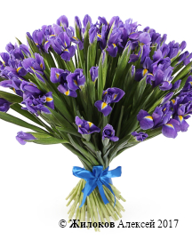 ����� �� ������ ������ (����)