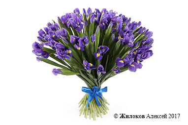 ����� �� ������ ������ (����)