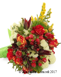 ����� ������� �����