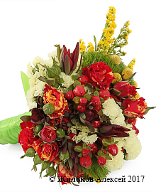 ����� ������� �����