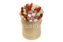 ����� 51 ����������� ������� � ������� ������� �������, ������-����� ����