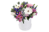 ����� ���������� ����� � ������� �������