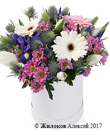 ����� ���������� ����� � ������� �������