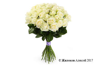 ����� 35 ��� ������� 60/70 ��