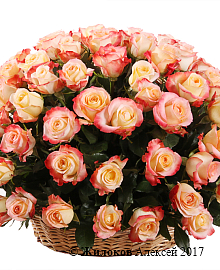 ����� 101 ���� ������ � �������