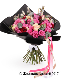 ����� ������ ��������