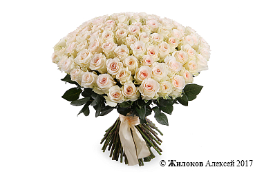 ����� 101 ���� ���������