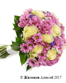 ����� ������� � ������������ ��������