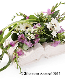 ���������� ����� ������