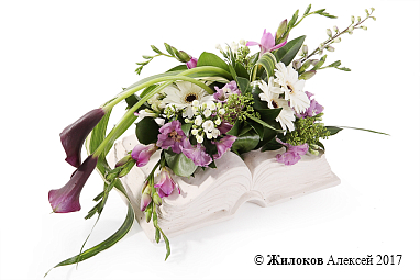 ���������� ����� ������