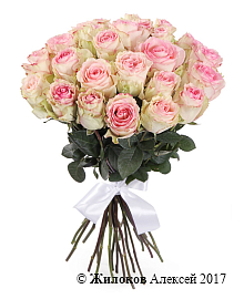 ����� 25 ��� ��������