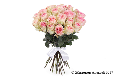 ����� 25 ��� ��������