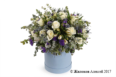 ����� ������ ������ � ������� �������