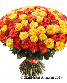 Букет 101 роза, Солнечный микс