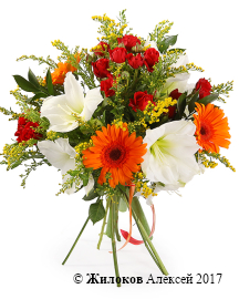 ����� ������� �������