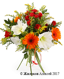 ����� ������� �������