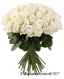 ����� 51 ���� ���� �'����