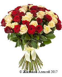 ����� 51 ���� ����