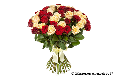 ����� 51 ���� ����