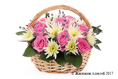 ����� ������ � ��������