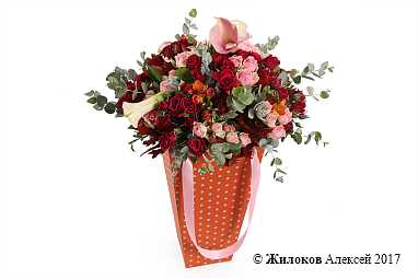 ����� ������� ������� � �������