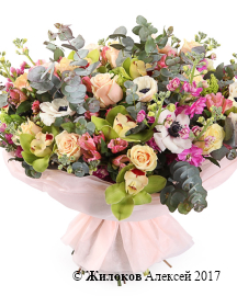 ����� ������� ������