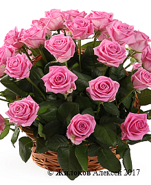 ����� 35 ��� ���� � �������