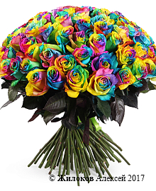 ����� 101 �������� ����