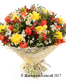 ����� ��� ������ �������