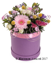 ����� ������������ ����������� � ������� �������