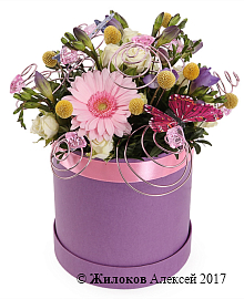 ����� ������������ ����������� � ������� �������