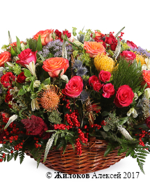 ����� ���� ������� � �������