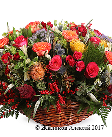 ����� ���� ������� � �������